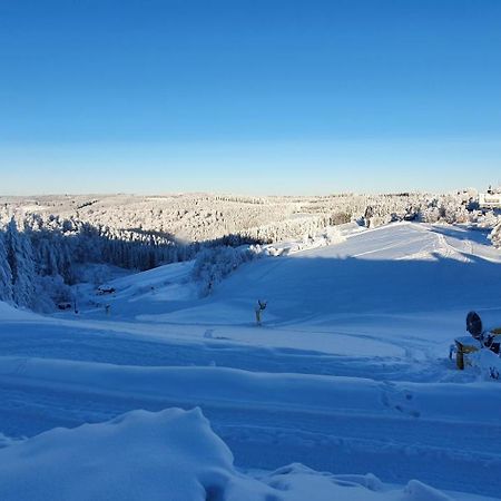 Haus Schneider Leilighet Winterberg Eksteriør bilde