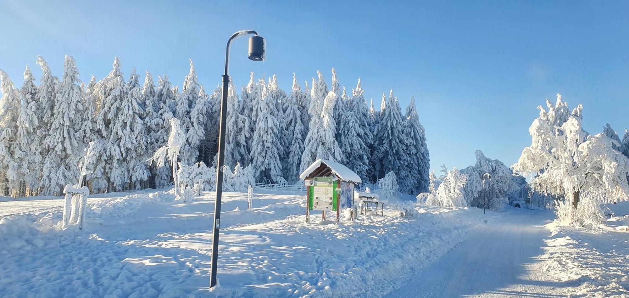 Haus Schneider Leilighet Winterberg Eksteriør bilde