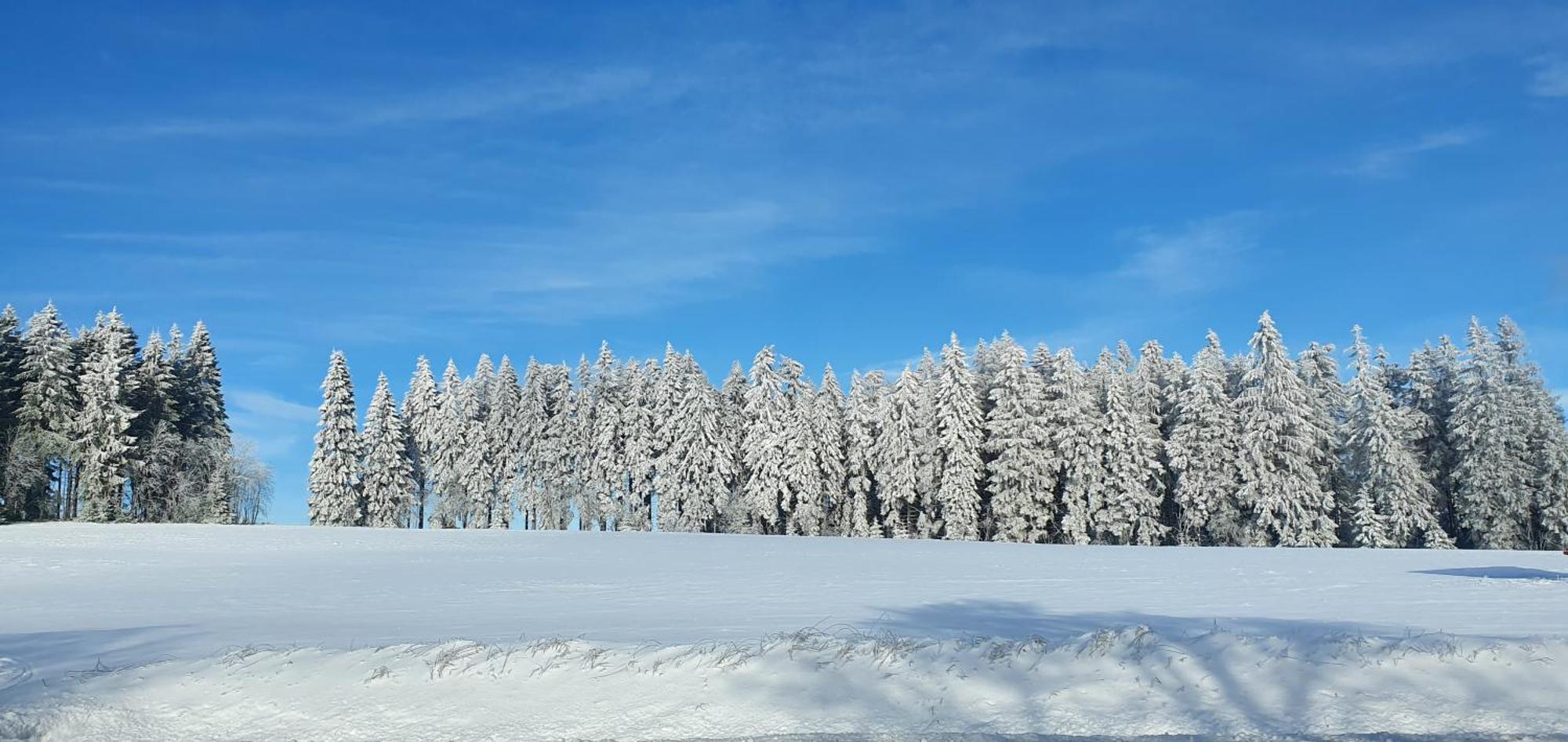Haus Schneider Leilighet Winterberg Eksteriør bilde