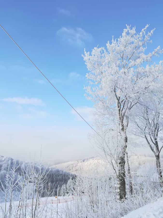 Haus Schneider Leilighet Winterberg Eksteriør bilde
